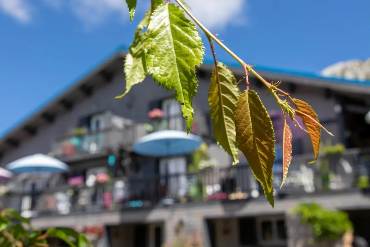 ***  L'Alpen Roc Bed & Breakfast Caille France